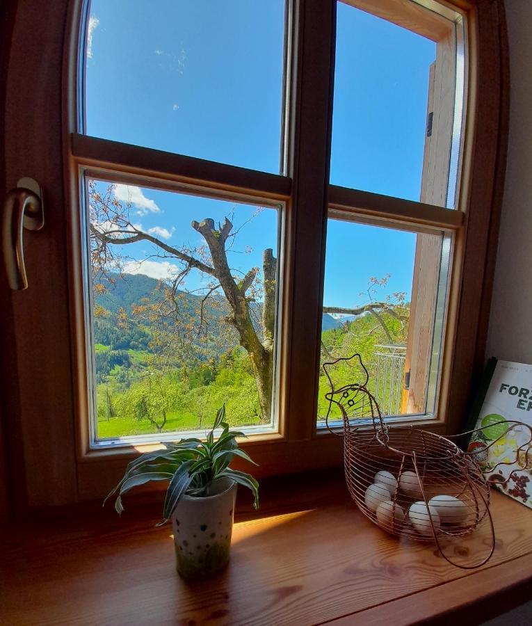 Apartment Dolomiti