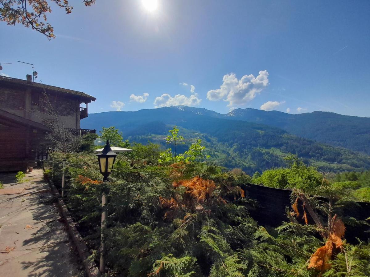 Dolomiti Apartment