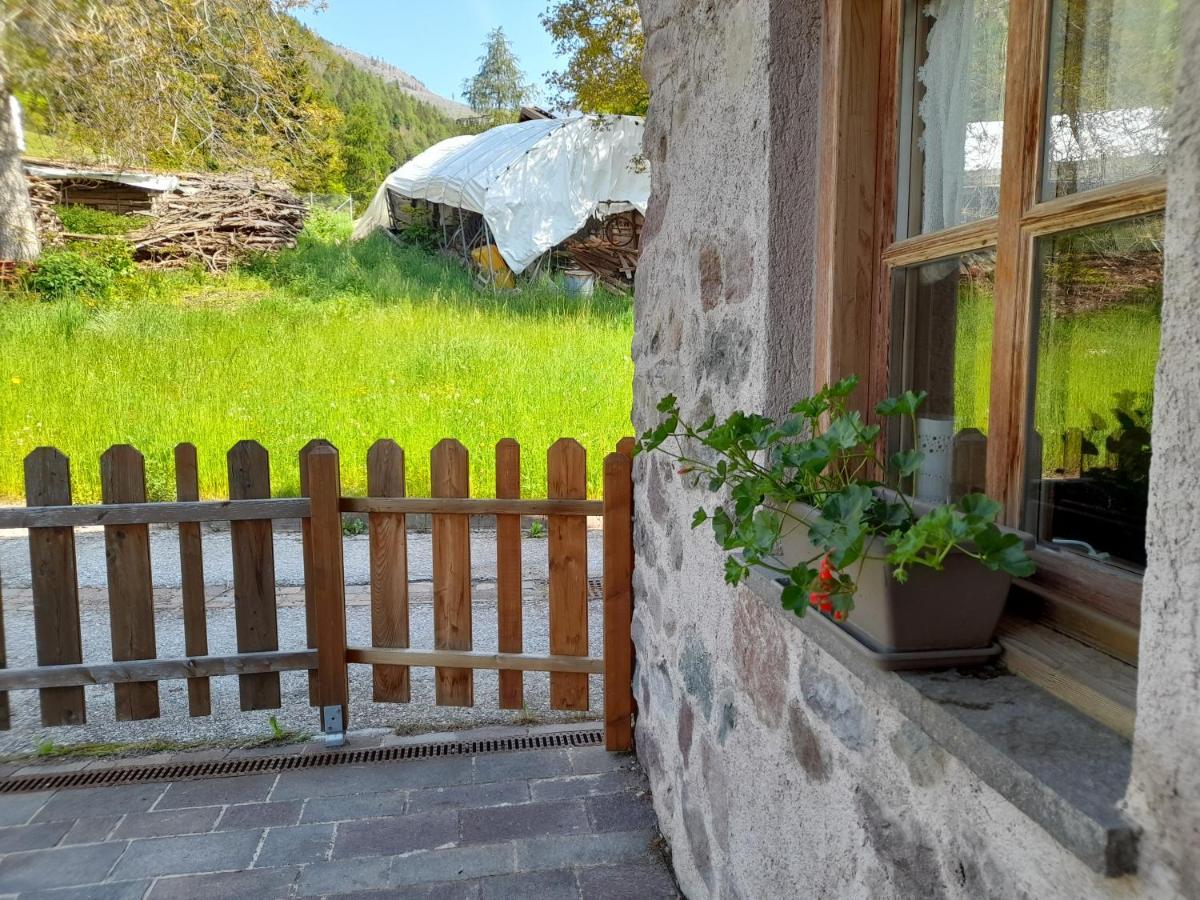 Apartment Dolomiti